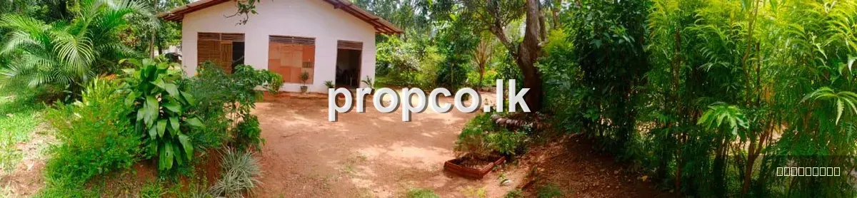 80 Perches House for Sale in Pallepola