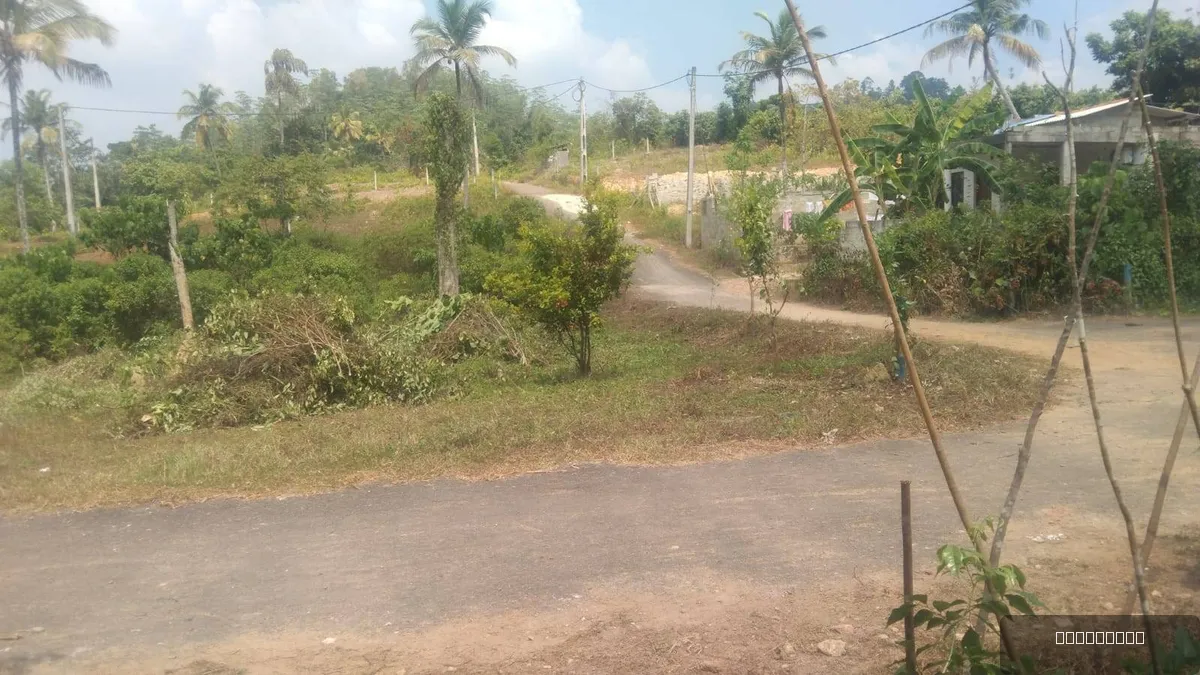9.59 Perches Bare Land Land for Sale in Athuraliya
