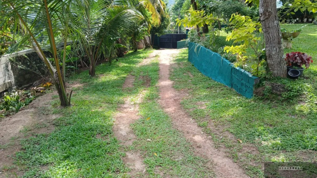 10 Perch House for Sale in Thihagoda