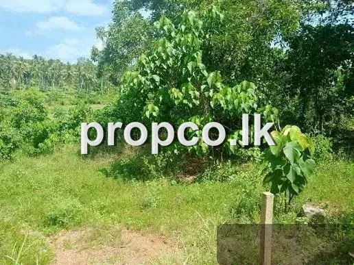 21.6 Perches Bare Land Land for Sale in Thelijjawila