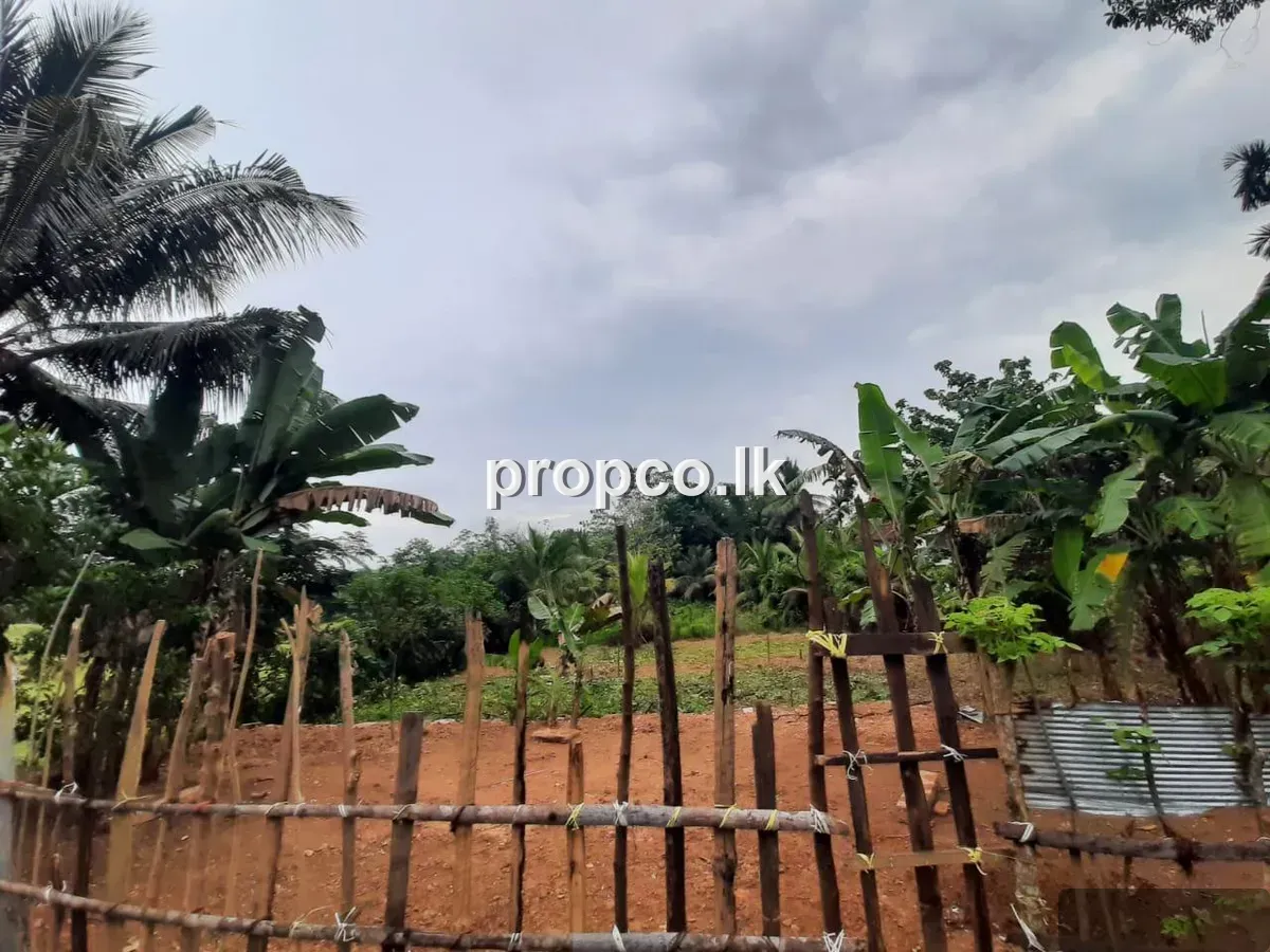74 Perches Bare Land Land for Sale in Malimbada