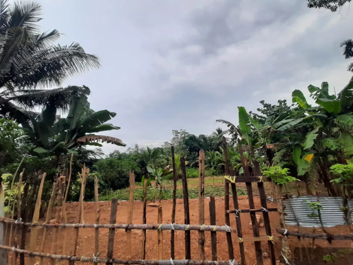 74 Perches Bare Land Land for Sale in Malimbada