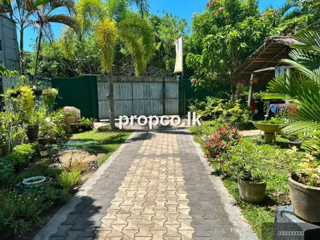 20 Perch Commercial Property for Sale in Mirissa