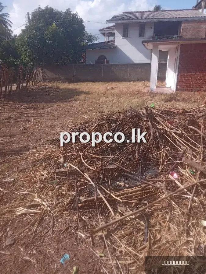 20 perch Commercial Property for Sale in Mirissa