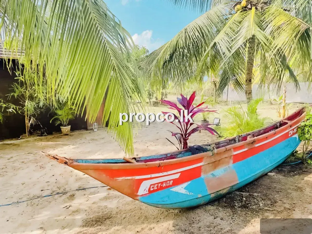 පර්චස් 120 ක යාල ප්රදේශයේ විකිණීමට ව්යාපාරික ස්ථාන