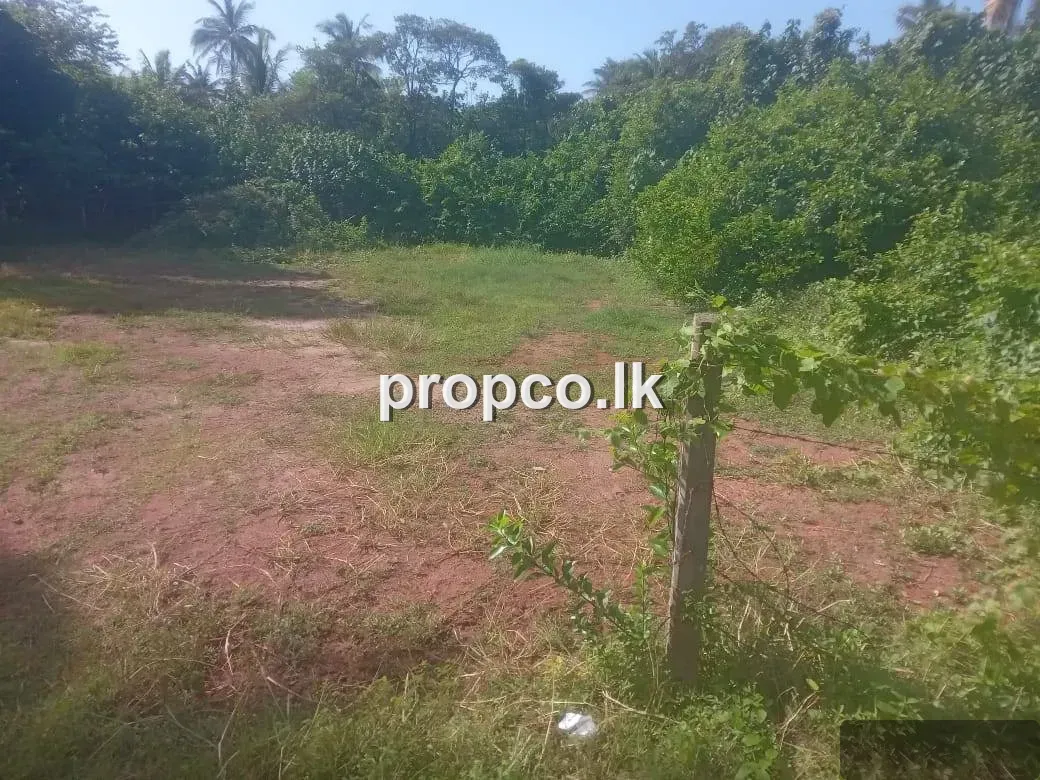 23 Perches Bare Land Land for Sale in Matara