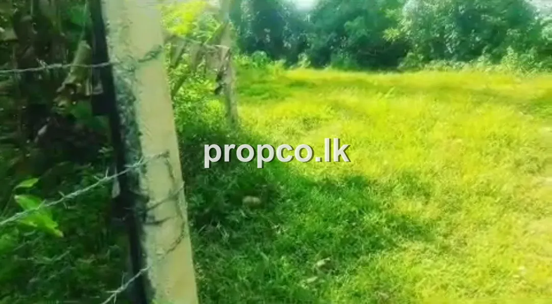 17 Perches Bare Lands Land for Sale in Matara