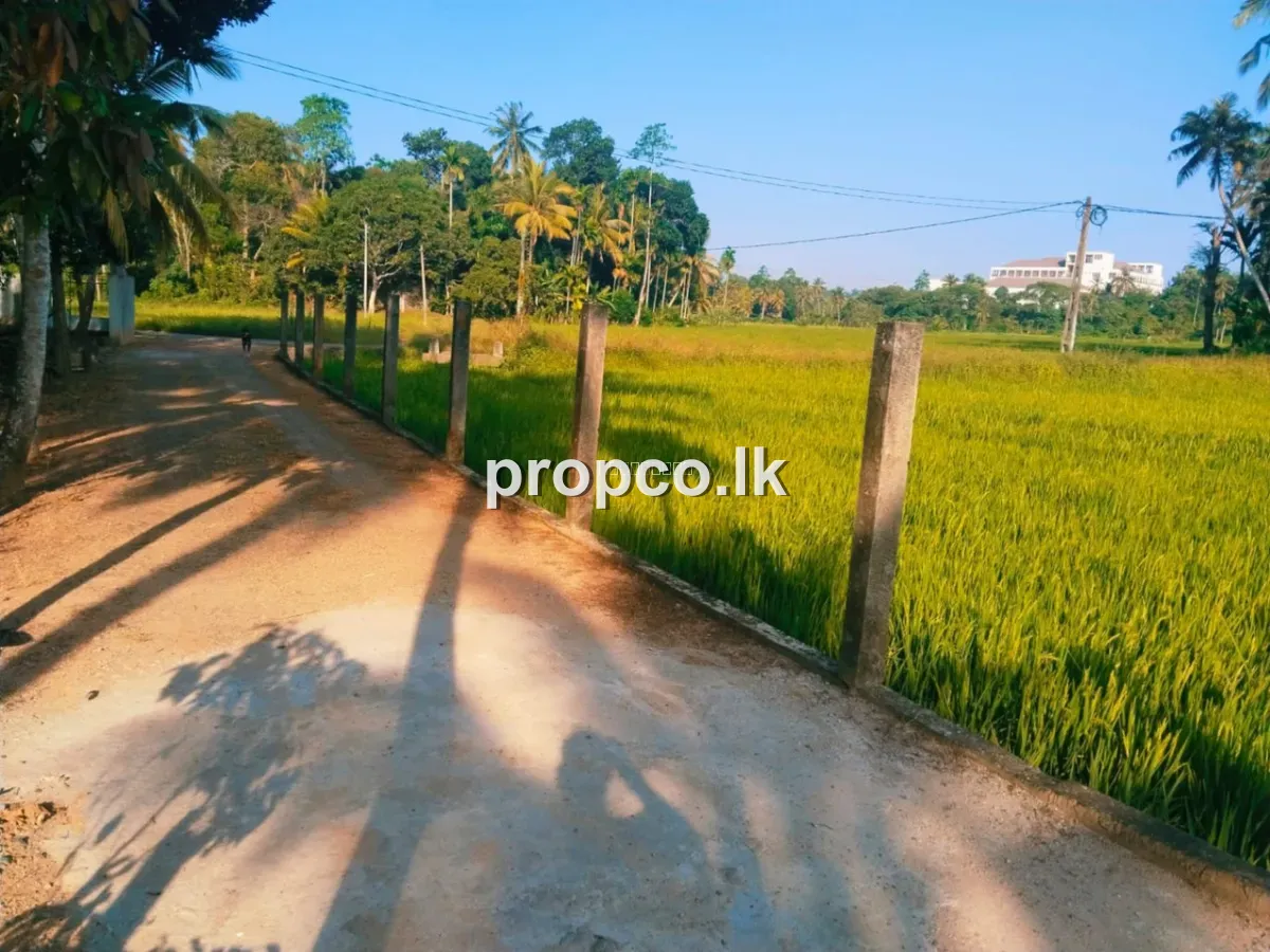 40 Perches Land for Sale in Matara