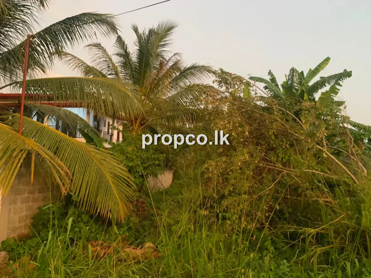 30 Perches Land for Sale in Nadugala