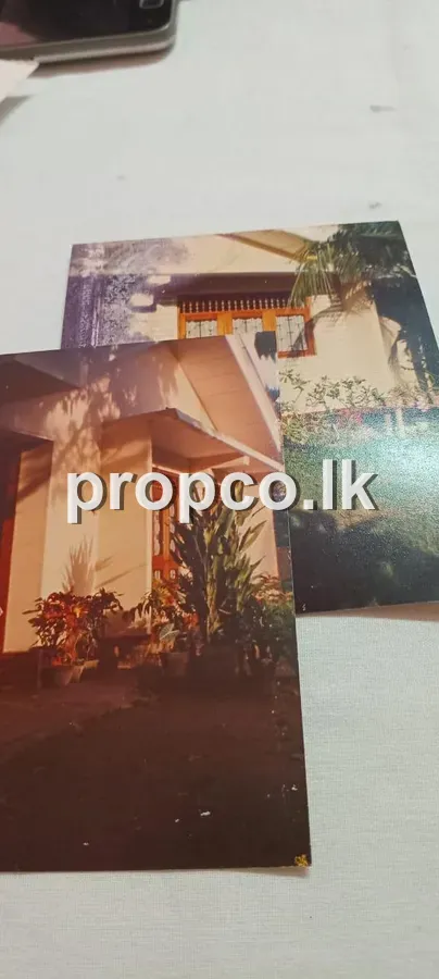 23 Perches House for Sale in Matara
