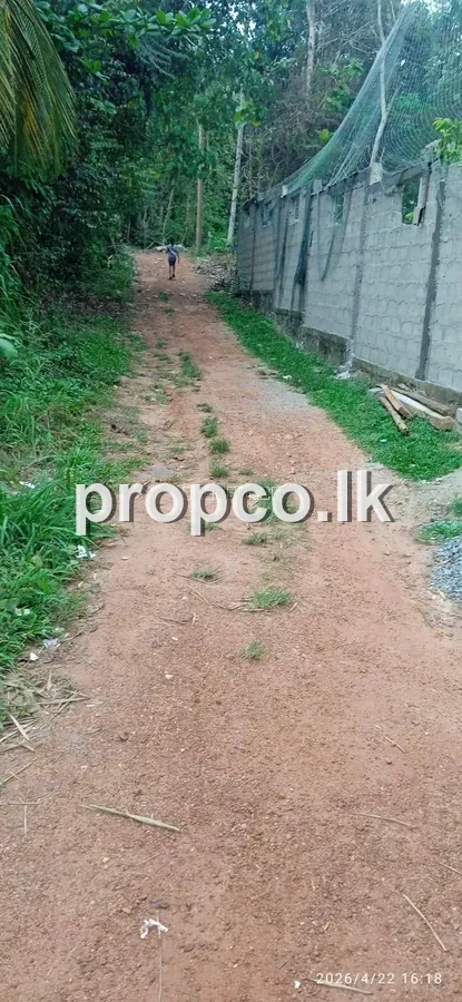 20 Perches Bare Land for Sale in Matara