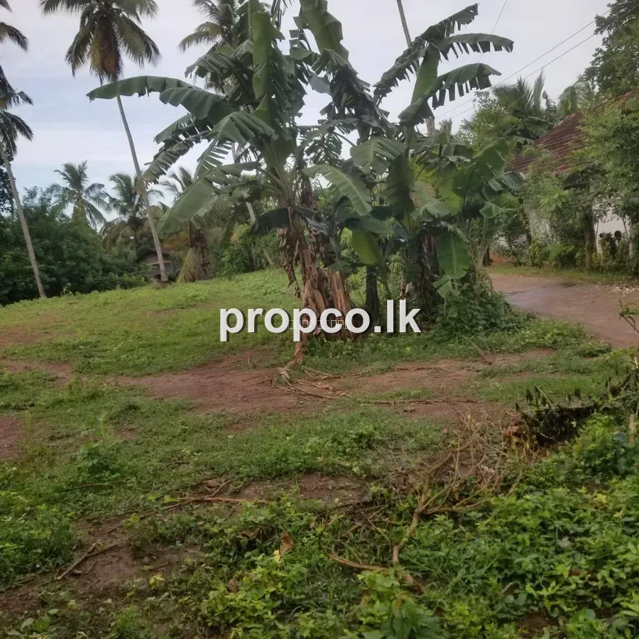 45.5 Perches Bare Land for Sale in Beliatta