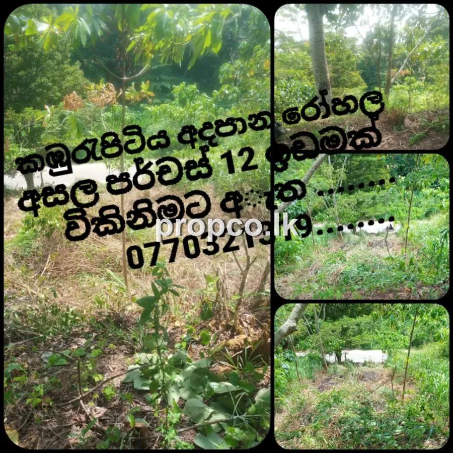 12 Perches Bare Land for Sale in Kamburupitiya
