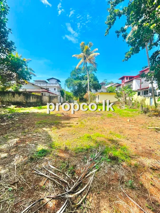 17 Perches Bare Land for Sale in Matara