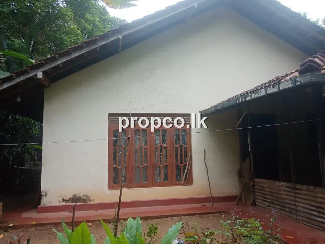 220 Perches Land for Sale in Dickwella
