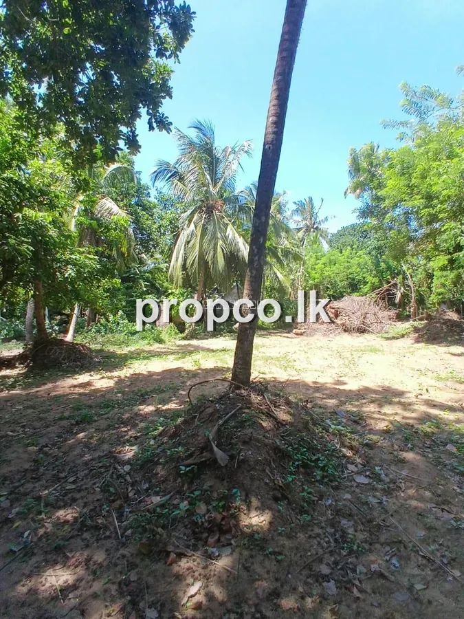 40 Perches Bare Land for Sale in Matara