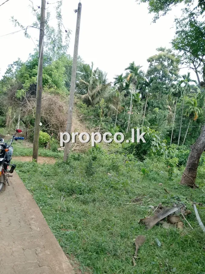 11.1 Perches Bare Land for Sale in Matara