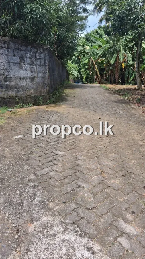 පර්චස් 8.5 ක කඩුවෙල ප්රදේශයෙන් විකිණීමට ඇත.