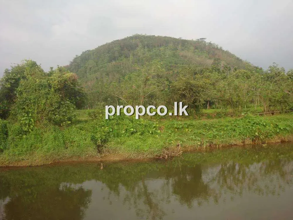 3 Acres Bare Lands Land for Sale in Pitigala