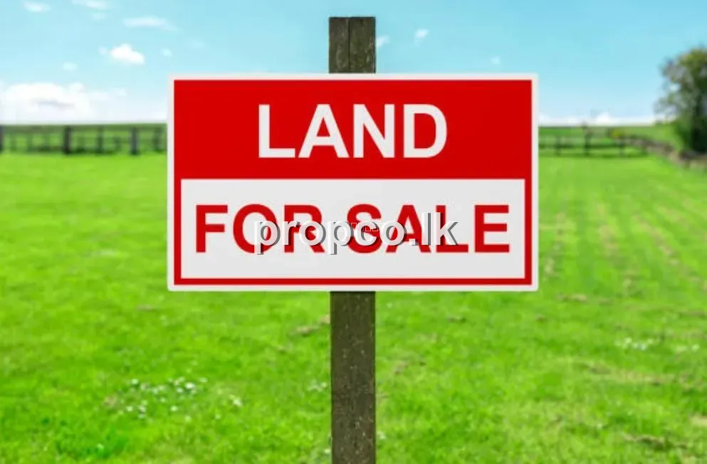 66 Perches Bare Land for Sale in Thihagoda