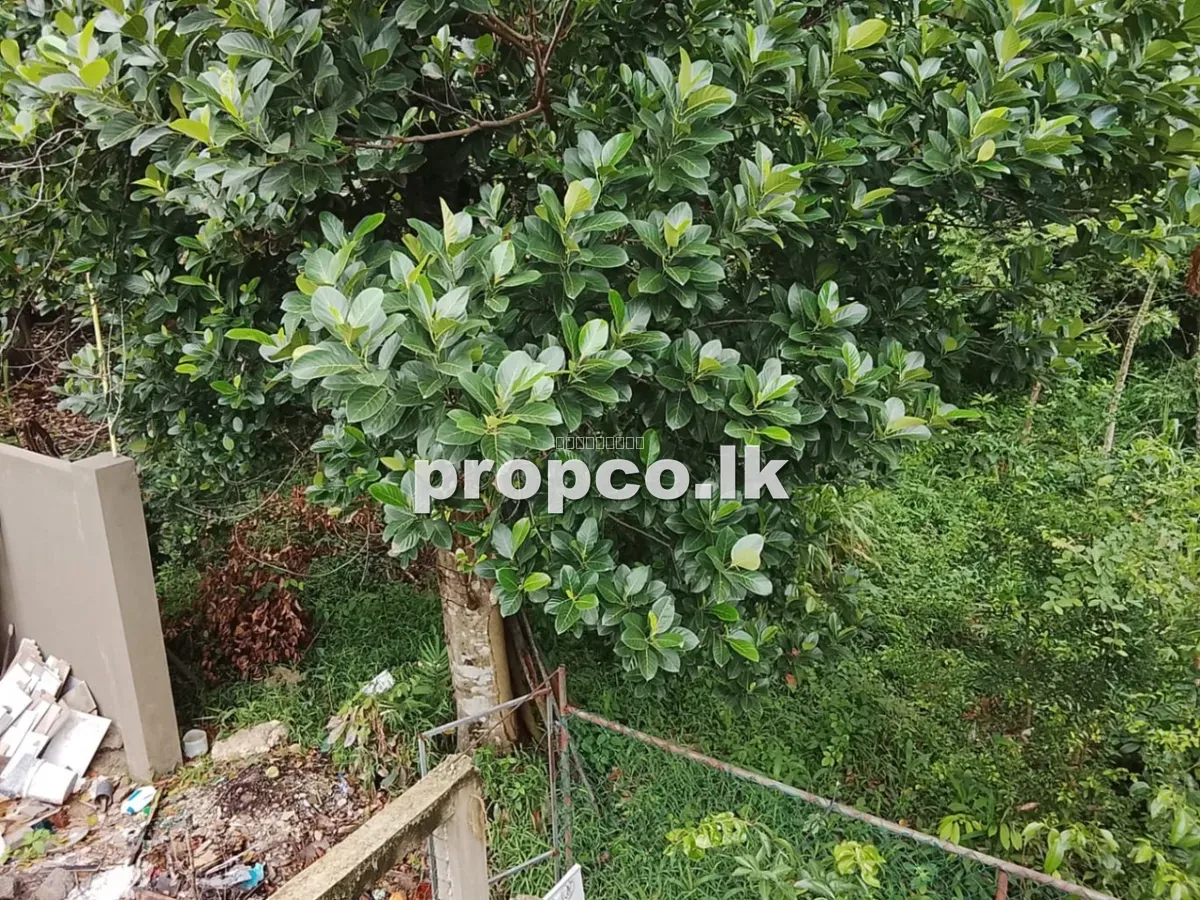 පර්චස් 14 ක පන්නිපිටිය ප්රදේශයෙන් විකිණීමට ඇති ඉඩම
