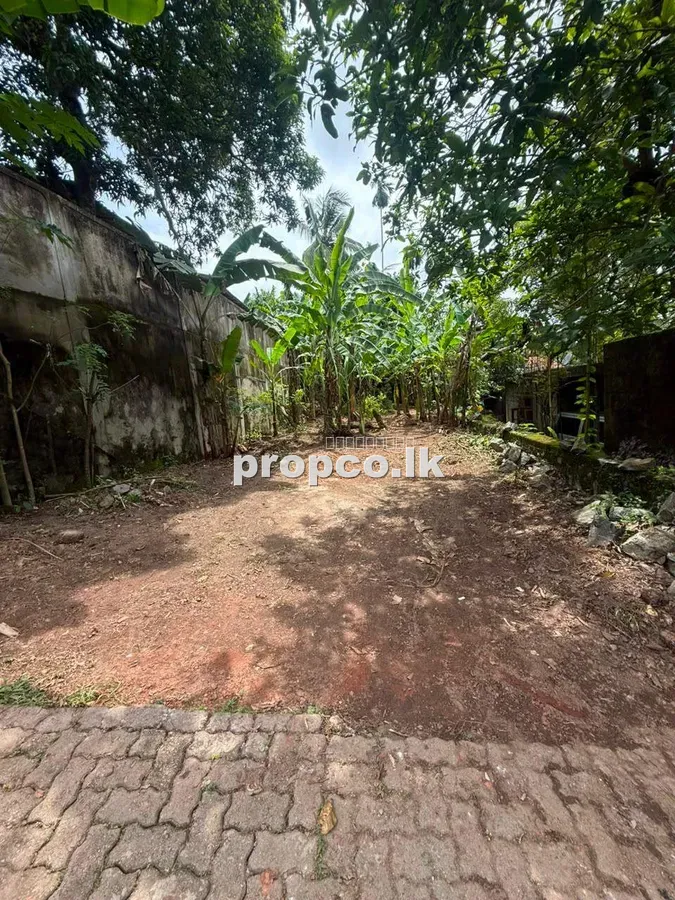 පර්චස් 8.4 ක පන්නිපිටිය ප්රදේශයෙන් විකිණීමට ඇති ඉඩම