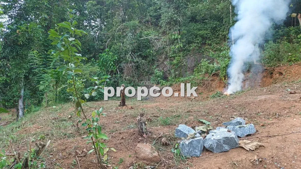 12.5 Perches Bare Land for Sale in Gampaha