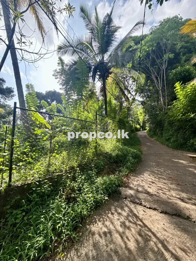 පර්චස් 30 ක ගලමූන ප්රදේශයේ විකිණීමට ඇති ඉඩම
