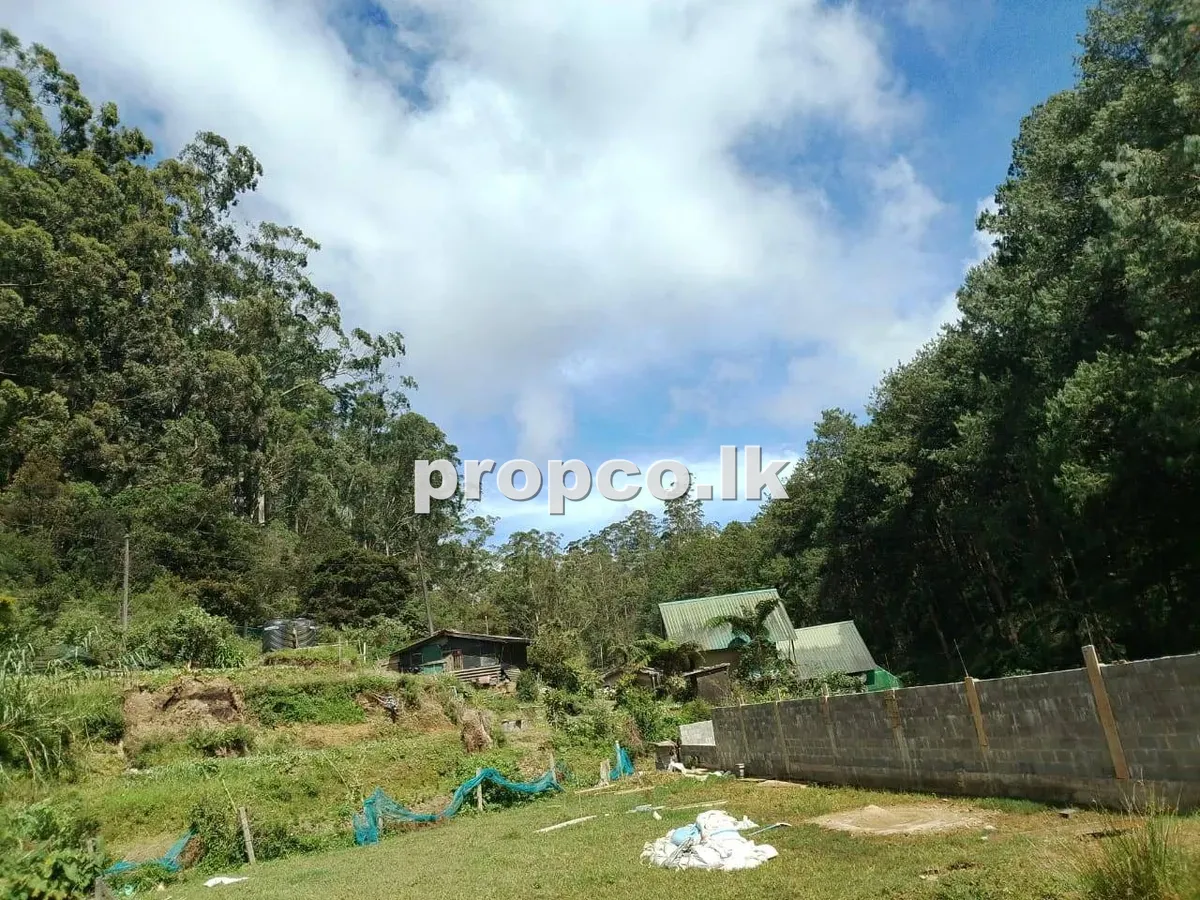 13.9 Perches Property Land for Sale in Nuwara Eliya