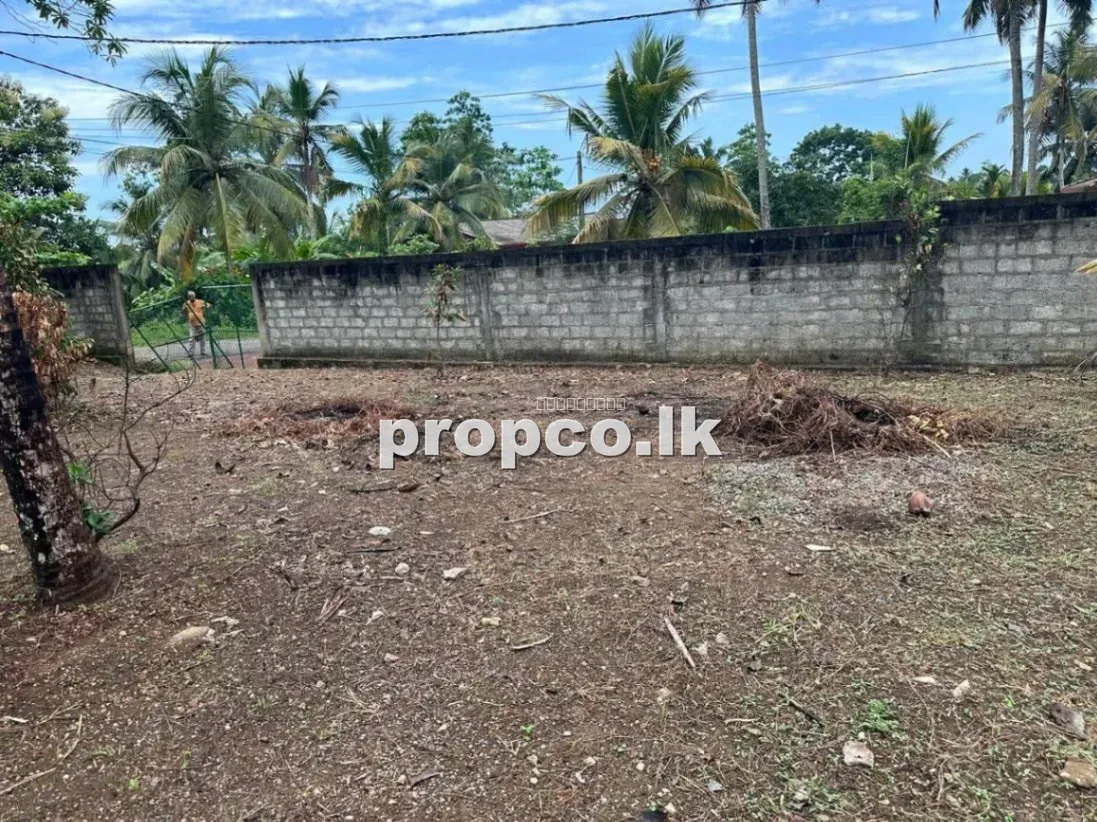 🏡 Valuable Residential Land for Immediate Sale in Kalutara