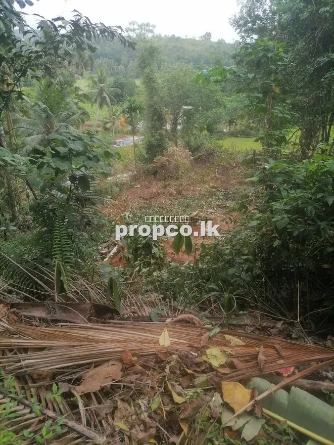 160 Perches Bare Land for Sale in Elpitiya