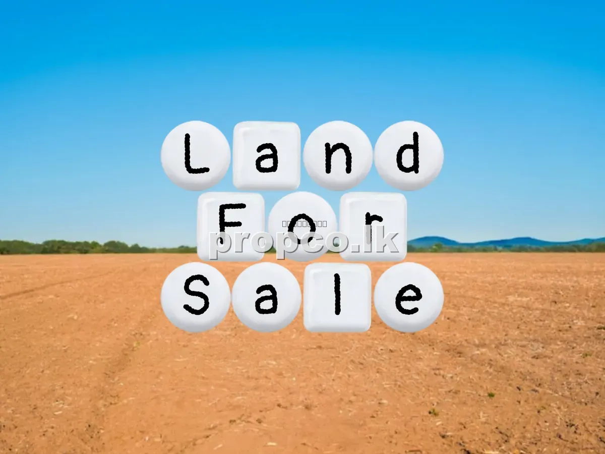 13.95 Perches Bare Land for Sale in Palatuwa