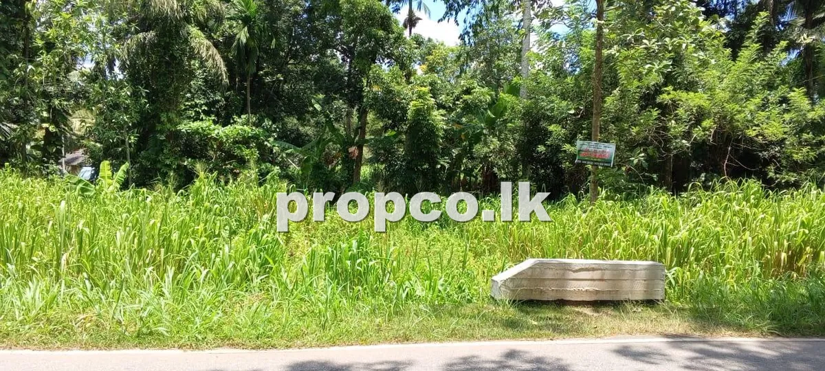 22.4 Perches Bare Land for Sale in Divulapitiya