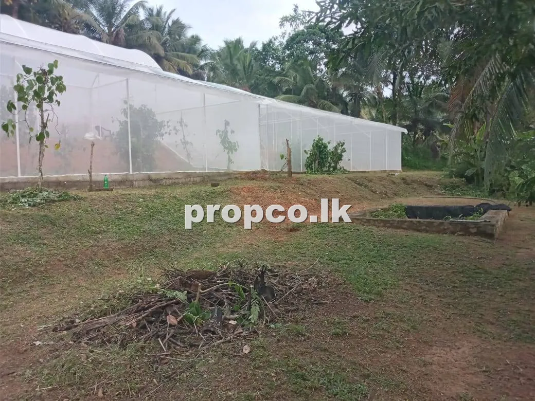 1 Acres Commercial for Sale in Kirindiwela