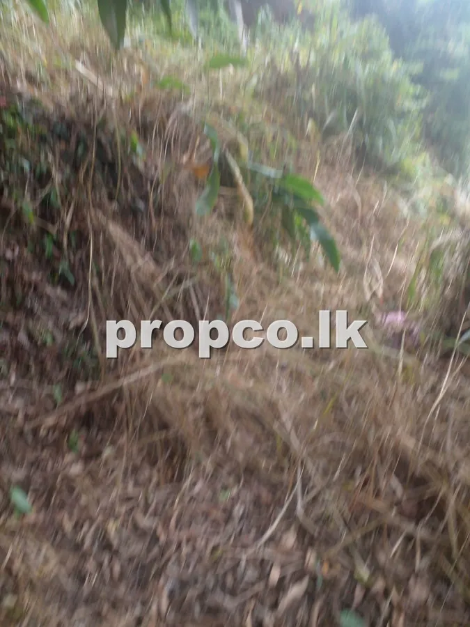 පර්චස් 25 ක මුරුතලාව ප්රදේශයෙන් විකිණීමට ඇති ඉඩම