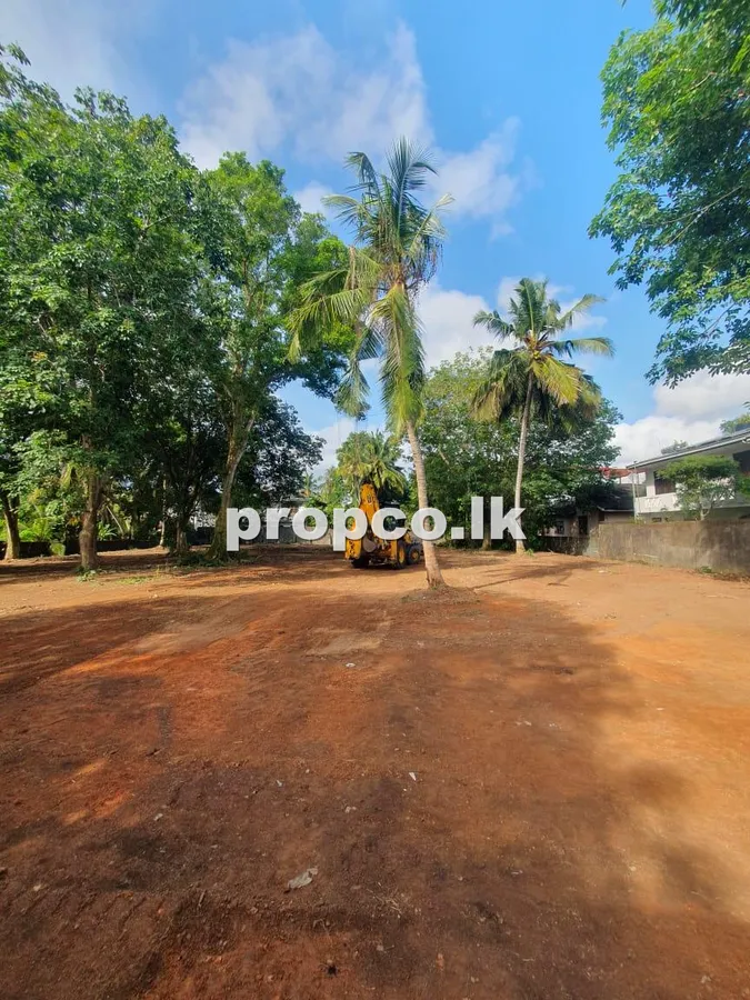පර්චස් 92 ක බොරලැස්ගමුව ප්රදේශයෙන් විකිණීමට ඇති ඉඩම