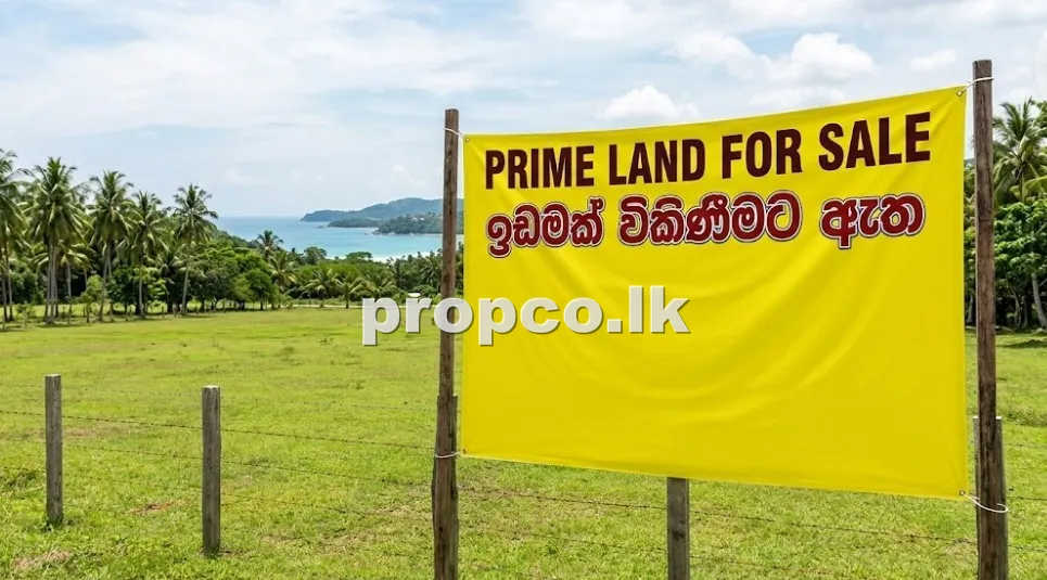 12.5 Perches Bare Land for Sale in Ganemulla
