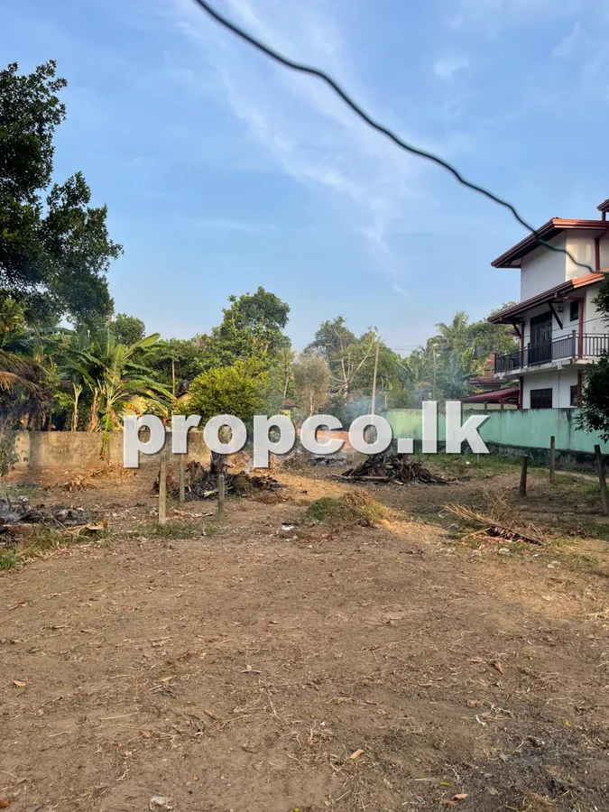 7 Perches Bare Land for Sale in Ja-Ela