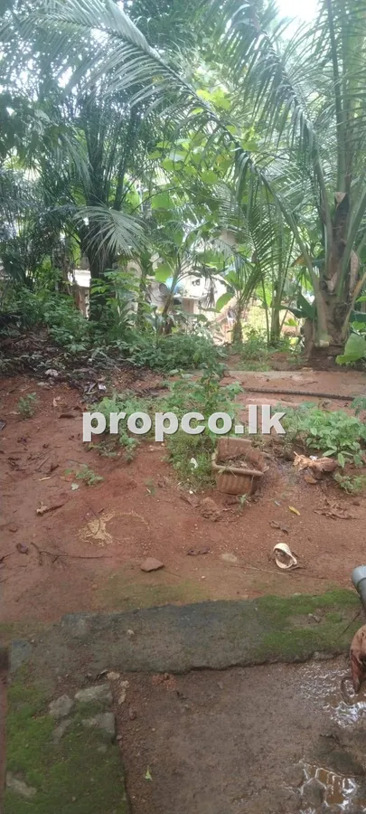 15 Perches Houses for Sale in Dehiowita