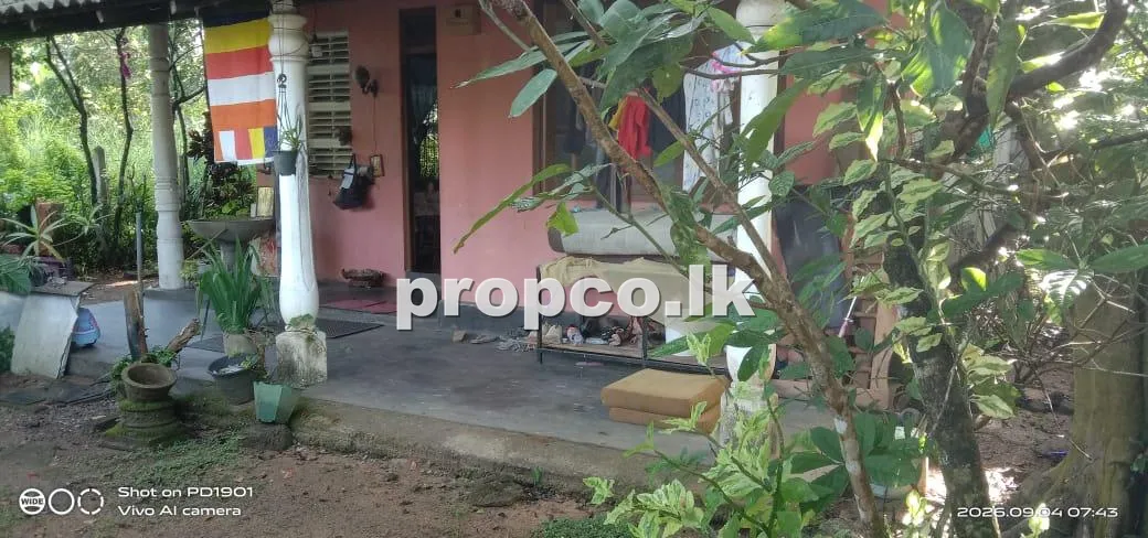 10.1 Perches Houses for Sale in Gonapola Junction