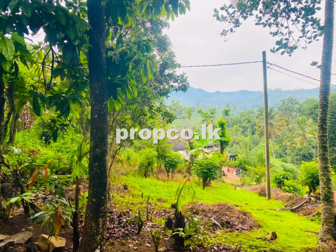 48 Perches Commercial Land for Sale in Ella