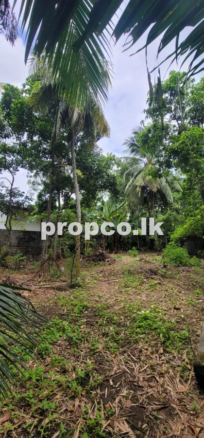 13.75 Perches Bare Land for Sale in Bandaragama