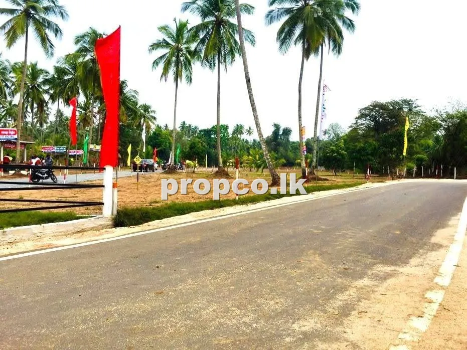කුරුණෑගල - යග්ගපිටියෙන්පර්චස් 15 ක වටිනා නේවාසික ඉඩමක් වහාම විකිණීමට! 🔥