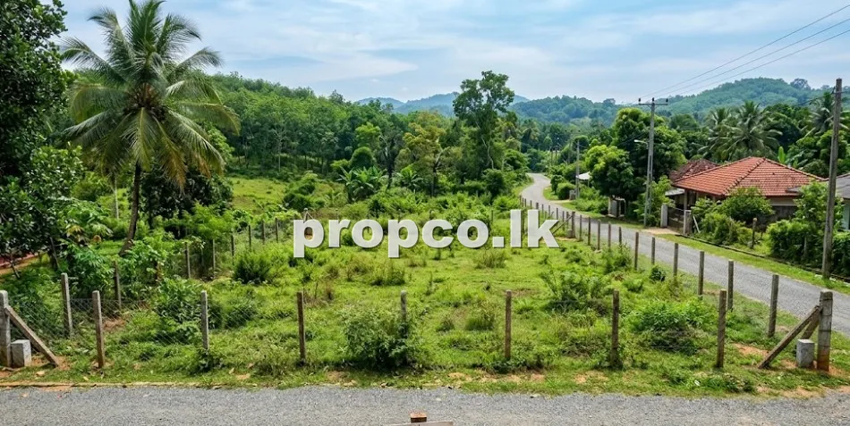 15 Perches Bare Land for Sale in Eheliyagoda