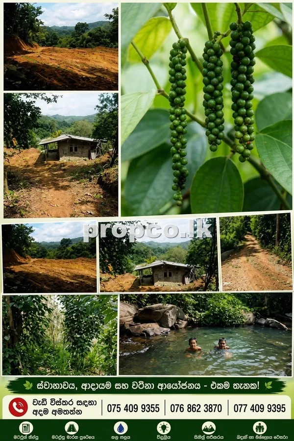 360 Perches Property Land for Sale in Badulla