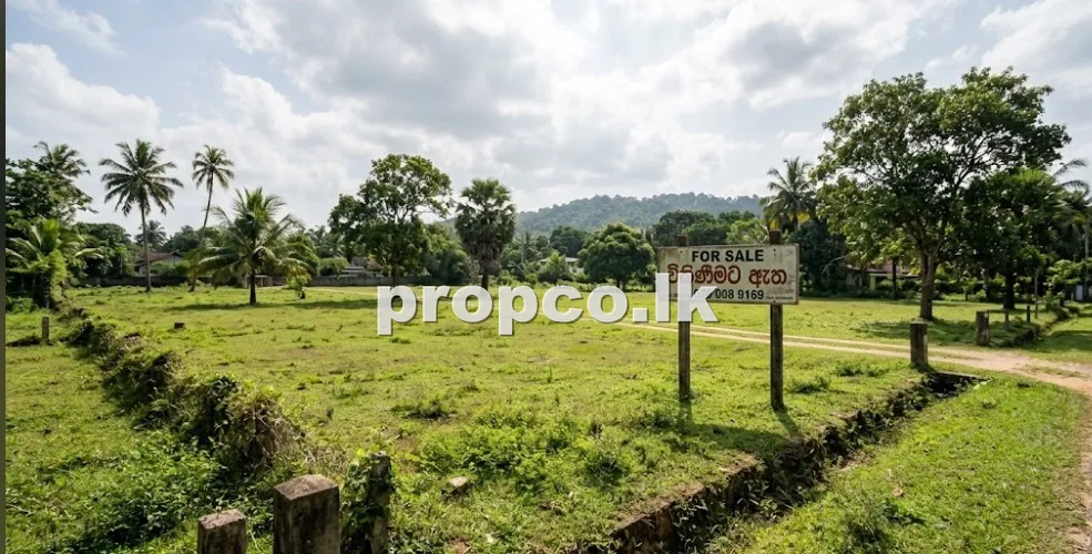 101 Perches Bare Land for Sale in Bandaragama