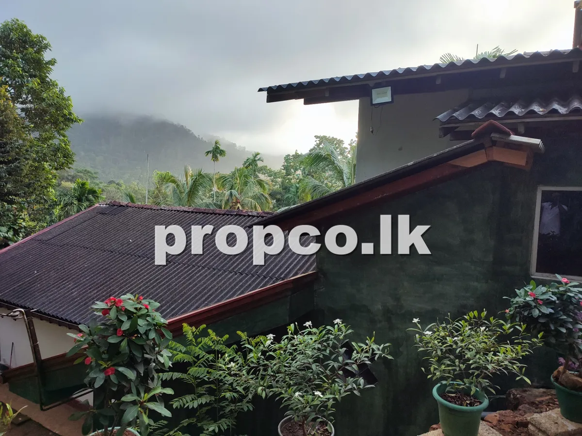 House for sell