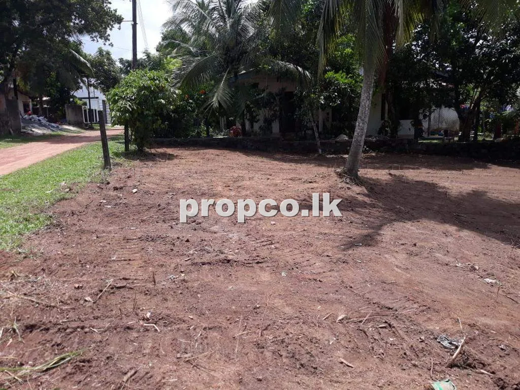 15 Perches Bare Land for Sale in Kalagedihena