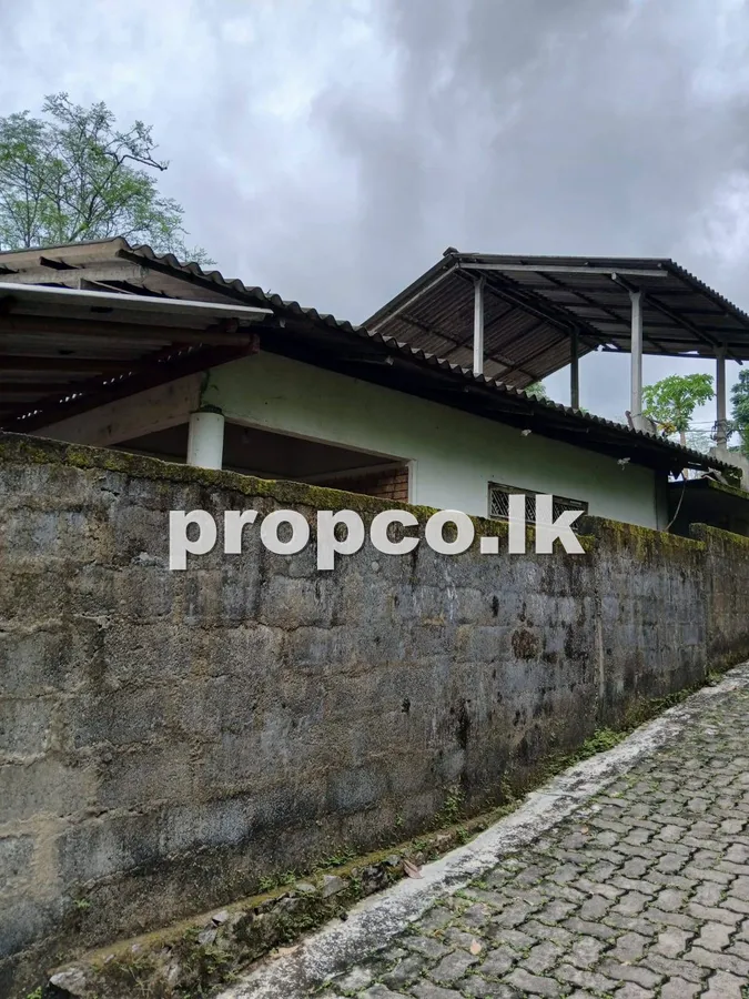 10 Perches Houses for Sale in Ganemulla
