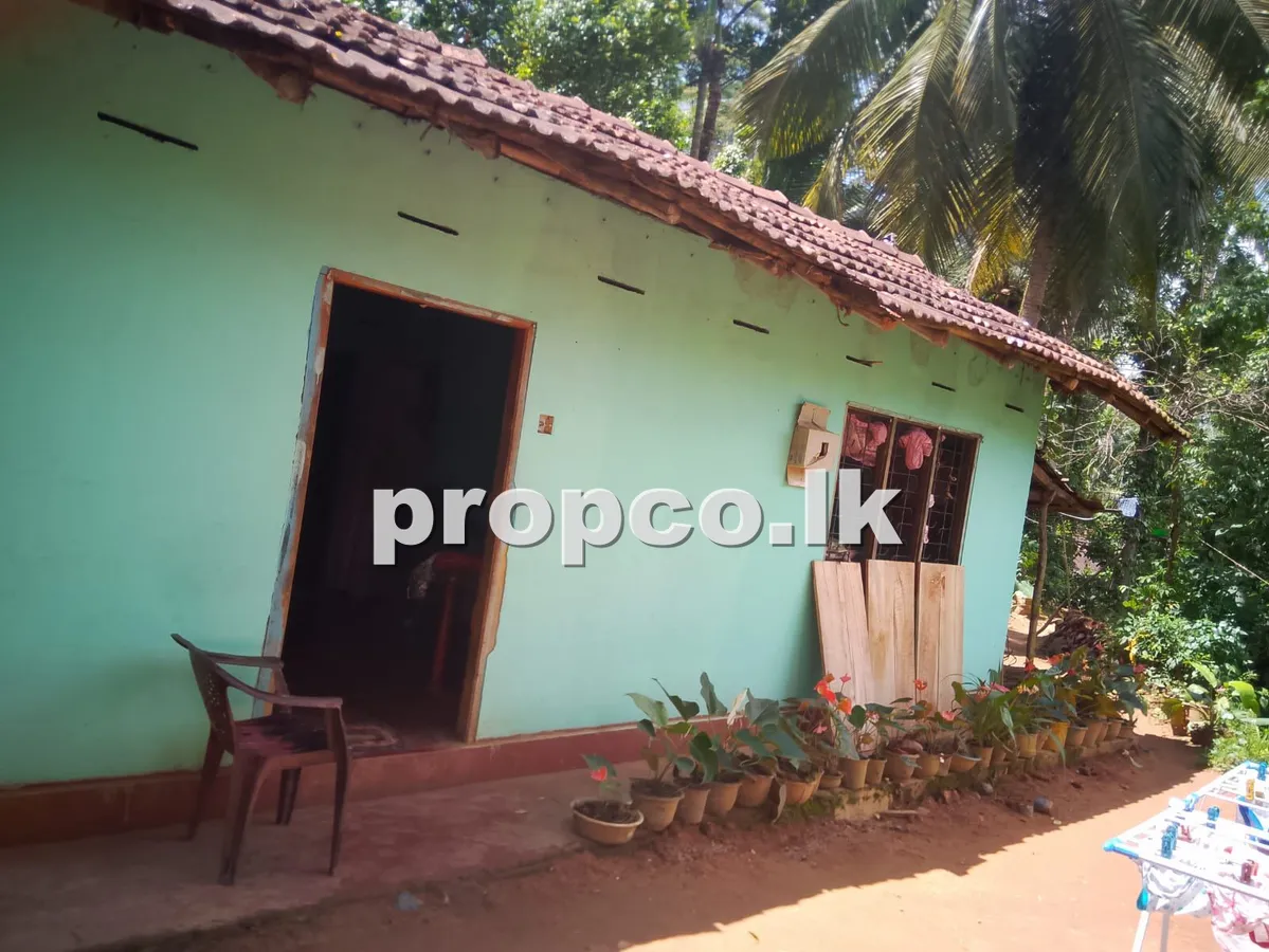 40 Perches Houses for Sale in Kotapola